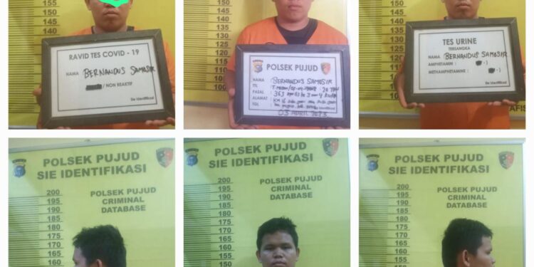 Ninja Sawit PTPN V Tanjung Medan, 2 Pelajar Dilaporkan ke Polsek Pujud.